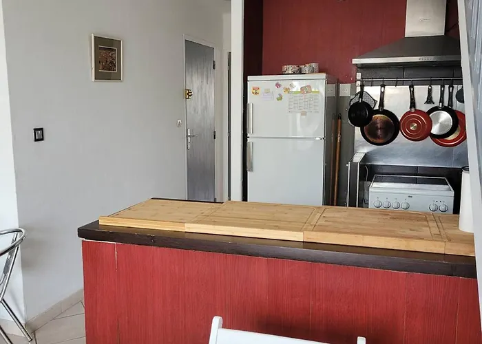 Appartamento Magnifique F2 Mezzanine Avec Terrasses Et Parking à - Fr-1-559-32