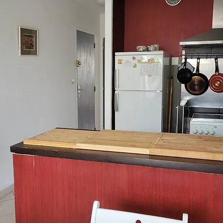 Apartment Magnifique F2 Mezzanine Avec Terrasses Et Parking A - Fr-1-559-32